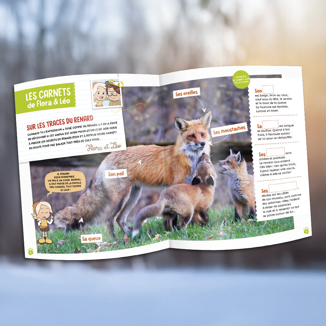 Le renard roux