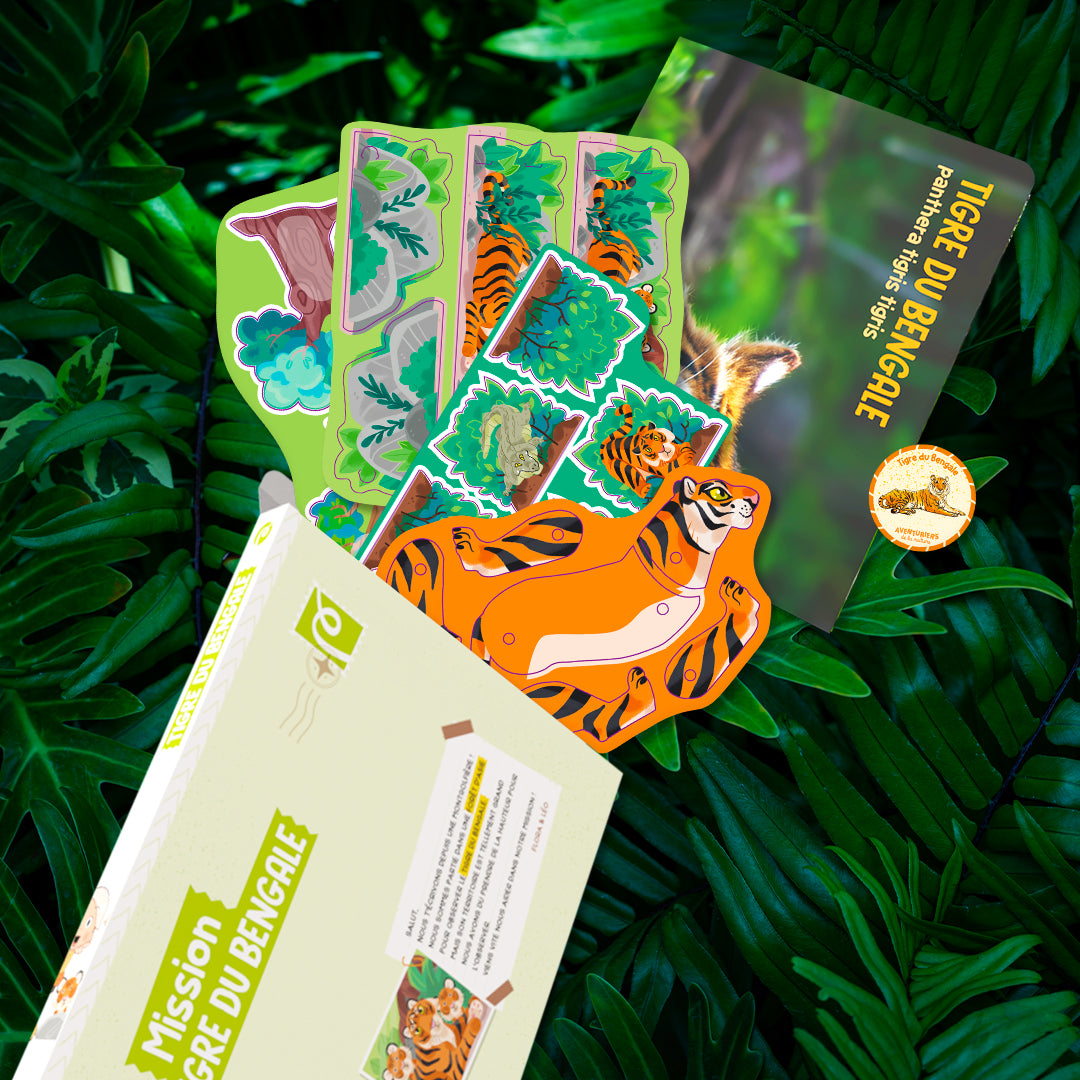 Le tigre du Bengale – Boutique Pandacraft
