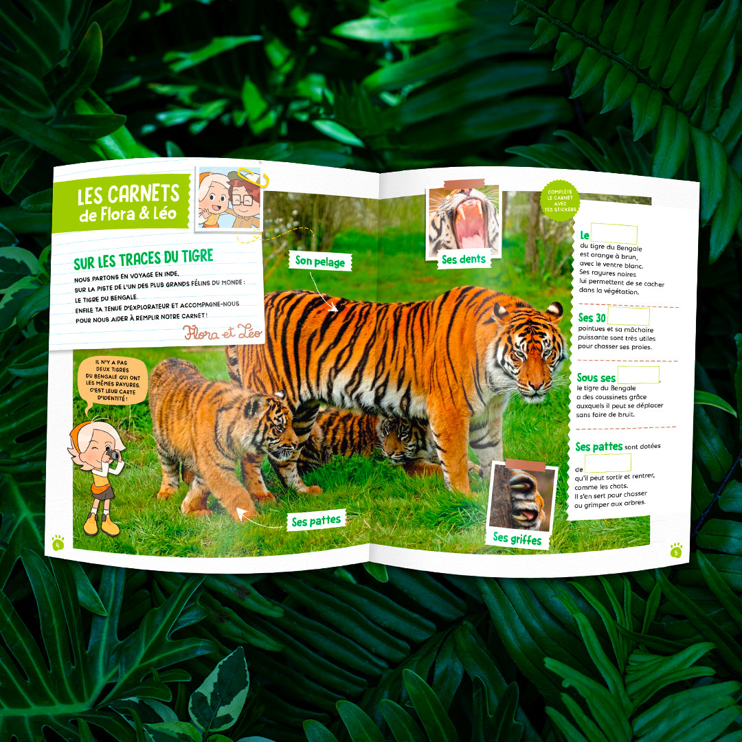 Le tigre du Bengale – Boutique Pandacraft