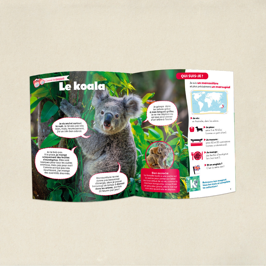 Les fleurs des champs