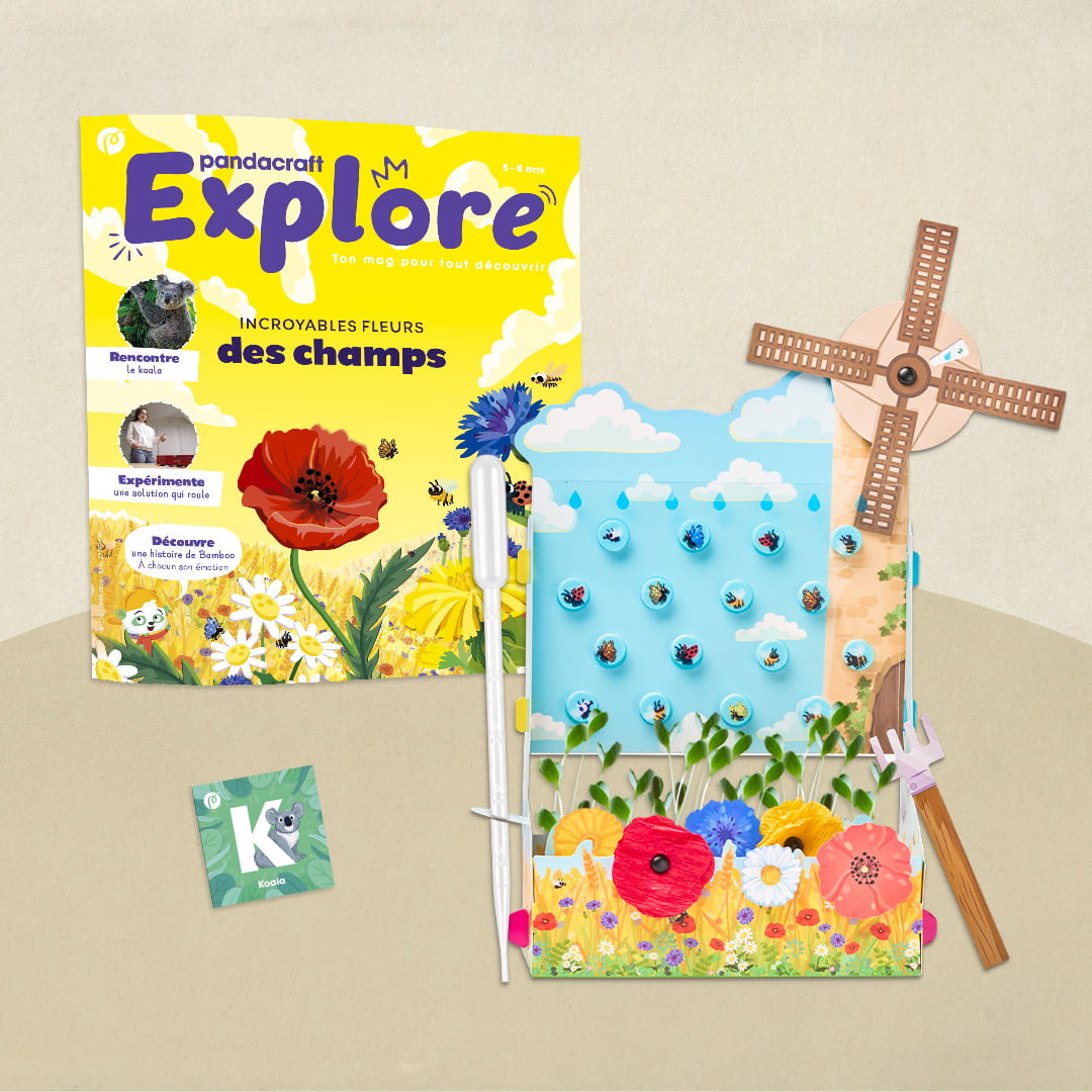 Les fleurs des champs