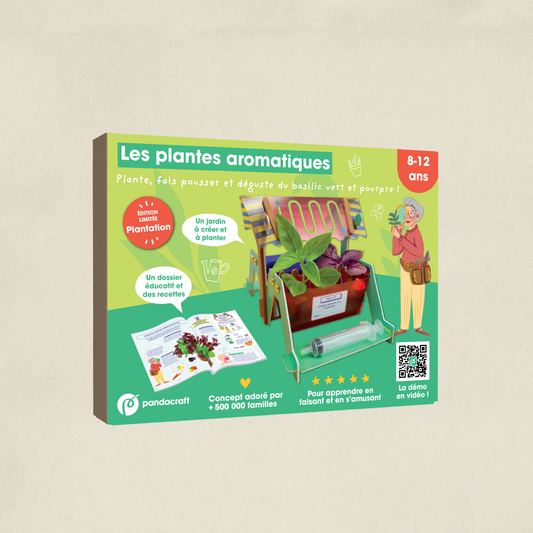 Les plantes aromatiques