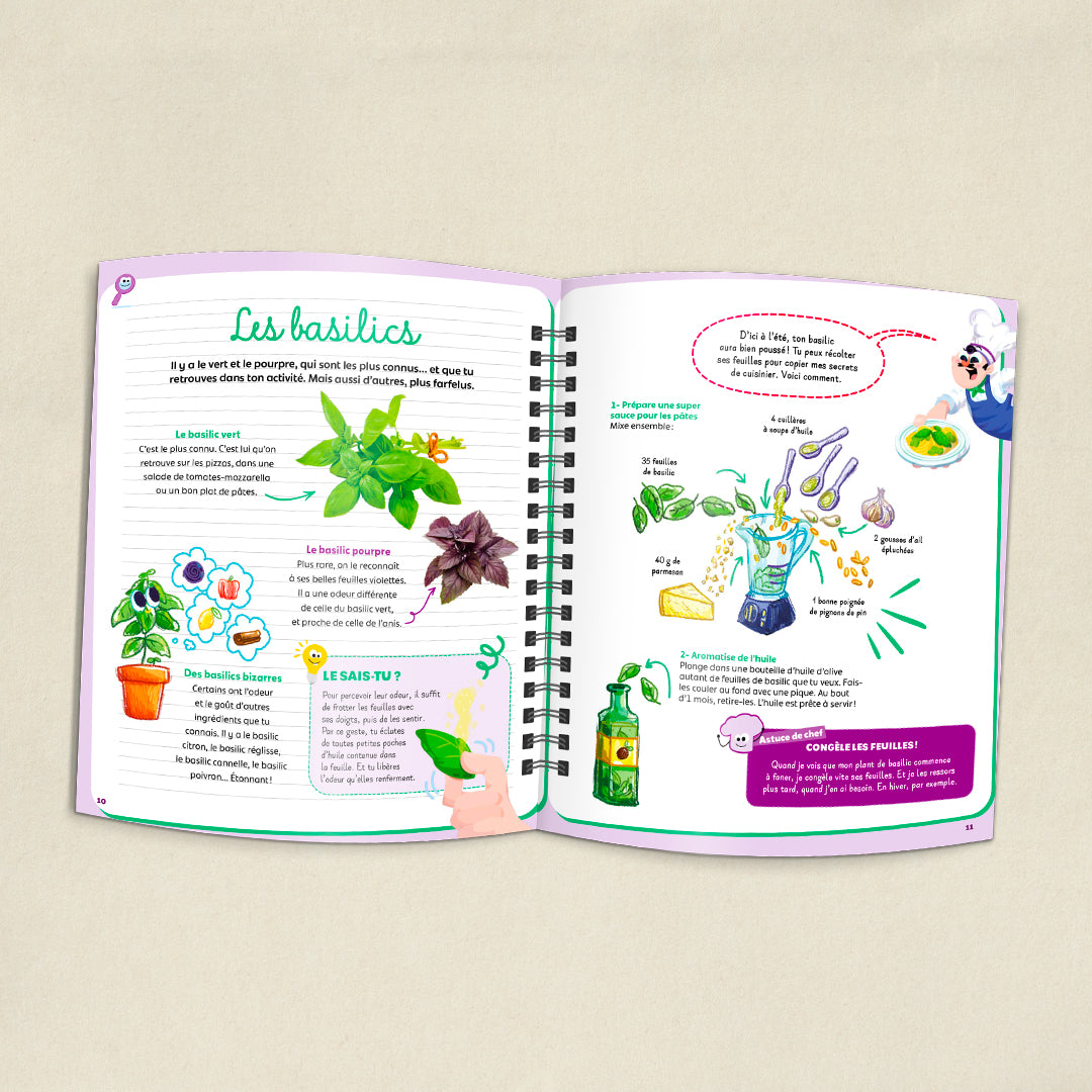 Les plantes aromatiques