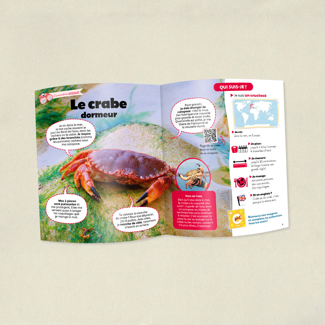 Les plantes grimpantes