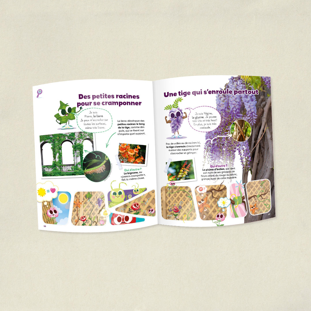 Les plantes grimpantes