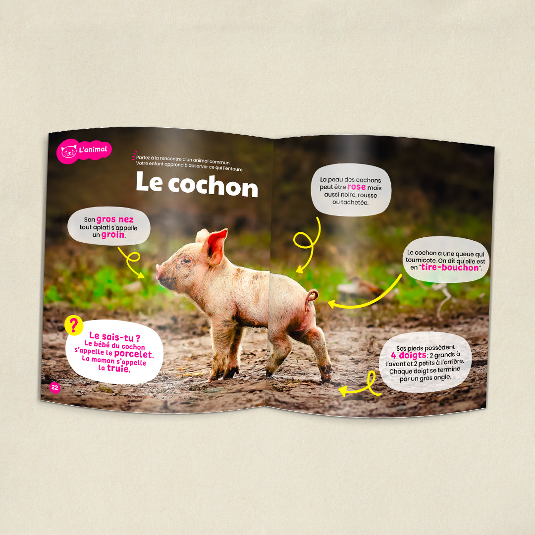 Les abeilles